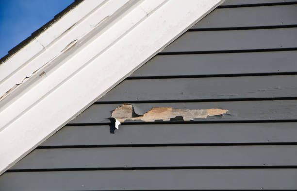 Clinton, MS Siding Installation & Repair Company